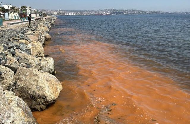 Görüntü Marmara’dan! Deniz turuncu renge büründü