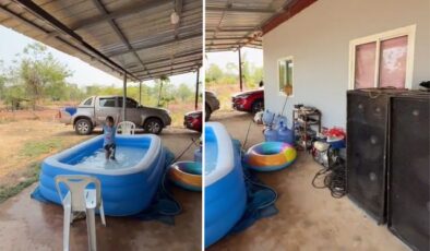 Trabzonlu damat Tayland köyünü kolbastıyla inletti