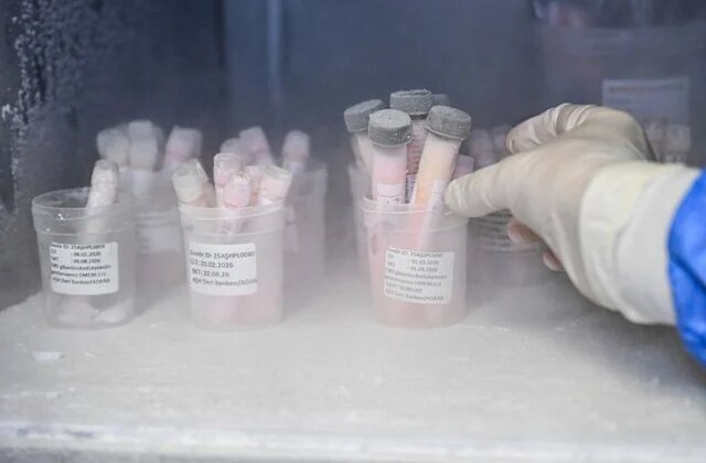 Türkiye’nin tek deri bankası ve doku laboratuvarına bağışlar artıyor