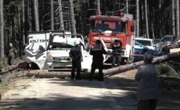 Uludağ’da inanılmaz olay…Kesilen ağaç seyir halindeki kamyonetin üzerine devrildi: 1 ölü