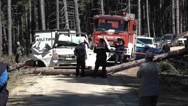 Uludağ’da inanılmaz olay…Kesilen ağaç seyir halindeki kamyonetin üzerine devrildi: 1 ölü
