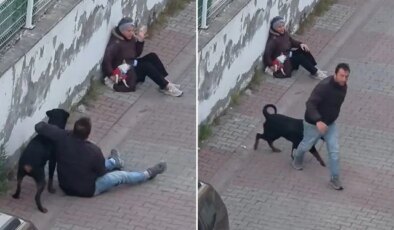 Rottweiler, küçük köpeğe saldırdı! Kadının çığlıkları mahalleyi inletti