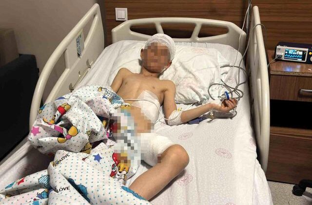 Van’daki köpek dehşetinde kan donduran detaylar