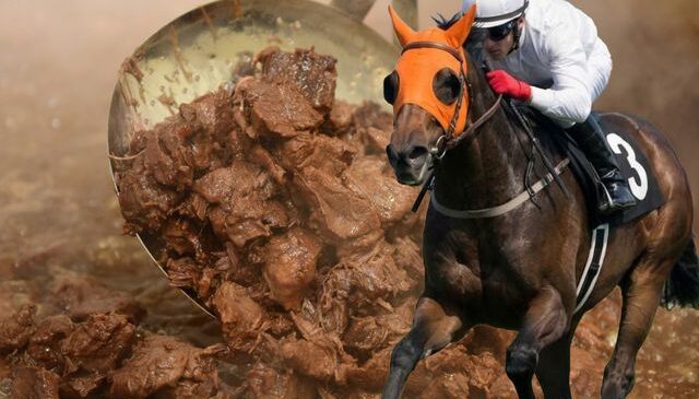 Vatandaşa yarış atı yediren firmayla ilgili yeni skandal