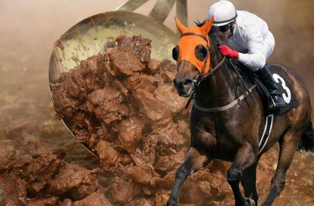 Vatandaşa yarış atı yediren firmayla ilgili yeni skandal