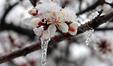 Zirai don, kar, yağmur! 42 il için sarı kodlu uyarı verildi