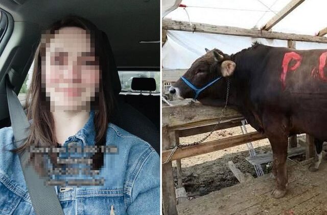 370 bin TL’lik kurbanı 210 bin TL’ye aldı, sorduğu soru olay oldu