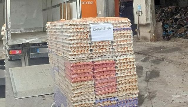 Yumurtada akıl almaz hile! Ekipler hepsini toprağa gömdü