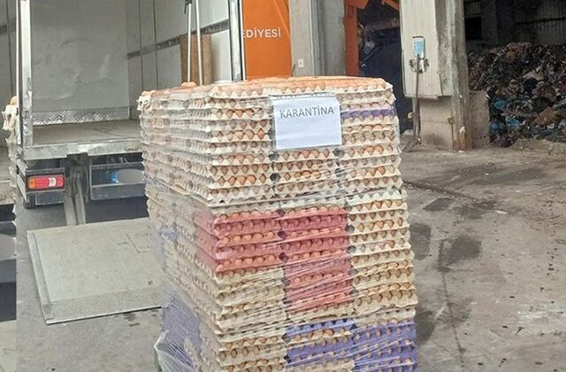 Yumurtada akıl almaz hile! Ekipler hepsini toprağa gömdü