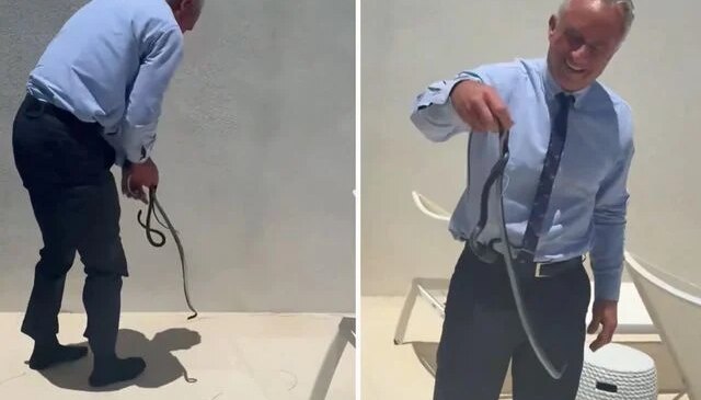 ABD Sağlık Bakanı, yılanı çıplak elleriyle yakaladı