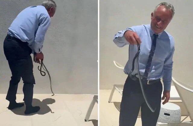 ABD Sağlık Bakanı, yılanı çıplak elleriyle yakaladı