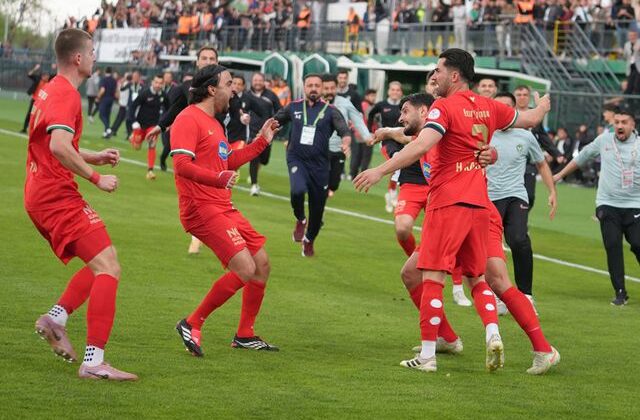 Amedspor tarihinde ilk kez Süper Lig’e yükseldi