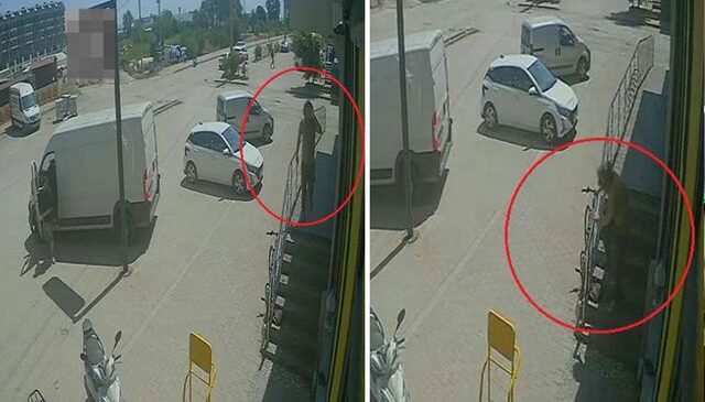 Antalya’da yabancı uyruklu şahıs kedinin üzerine bastı, köpeği tekmeledi