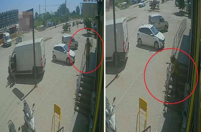 Antalya’da yabancı uyruklu şahıs kedinin üzerine bastı, köpeği tekmeledi