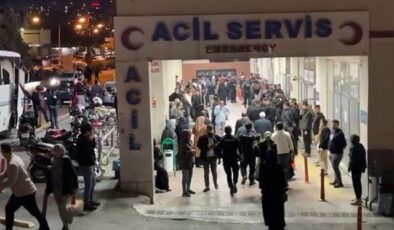 Arazi anlaşmazlığı nedeniyle iki üvey kardeşini öldürdü