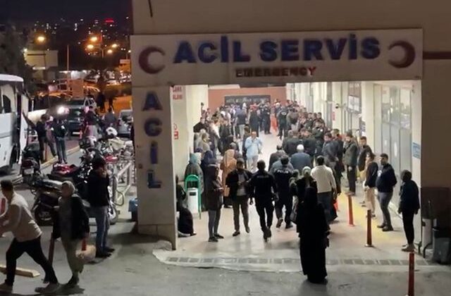 Arazi anlaşmazlığı nedeniyle iki üvey kardeşini öldürdü