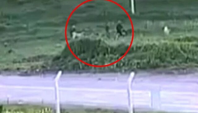 Baba ve oğlunun köpeklerine öfkelenip komşularını darbettiği anlar kamerada