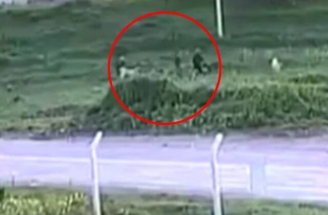 Baba ve oğlunun köpeklerine öfkelenip komşularını darbettiği anlar kamerada
