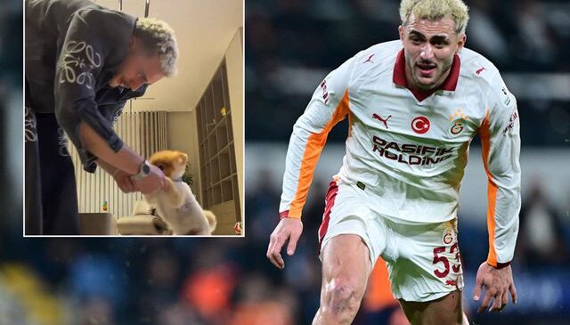 Barış Alper Yılmaz, köpeğiyle birlikte horon tepti