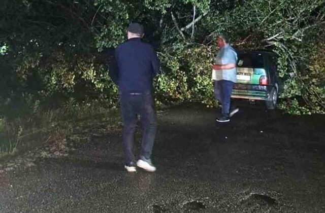 Bartın’da şiddetli fırtına: Ağaçlar otomobillerin üzerine devrildi