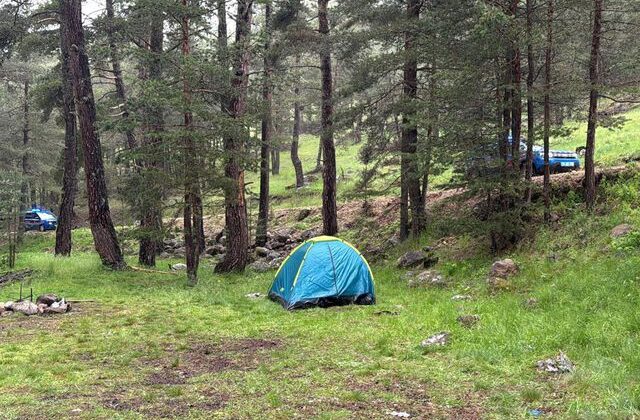 Piknik keyfi kabus gibi bitti! Yağmurdan kaçarken yıldırım çarptı