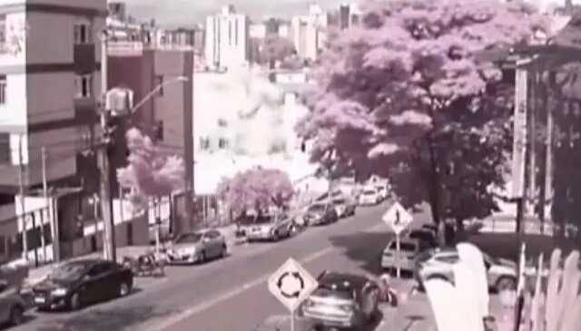Brezilya’da uçağın apartmana çarptığı kazada bilanço ağırlaştı: 3 ölü