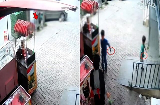 Bunlar nasıl çocuk! Önce kediyi bıçakladılar sonra esnafı tehdit ettiler