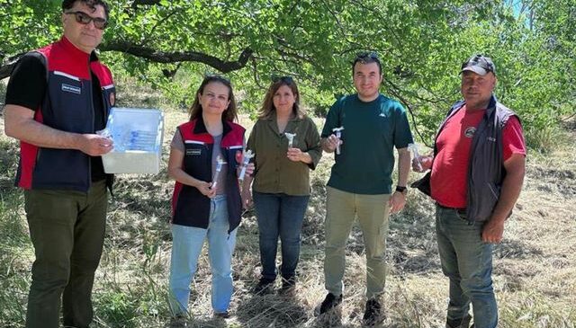 Ve “samuraylar” göreve başladı