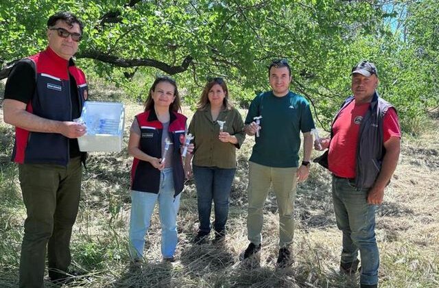 Ve “samuraylar” göreve başladı
