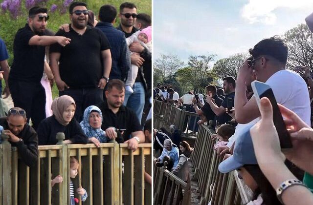 Dünyada sadece Türkiye’de var! İzlemek için 40 bin kişi ilçeye akın etti