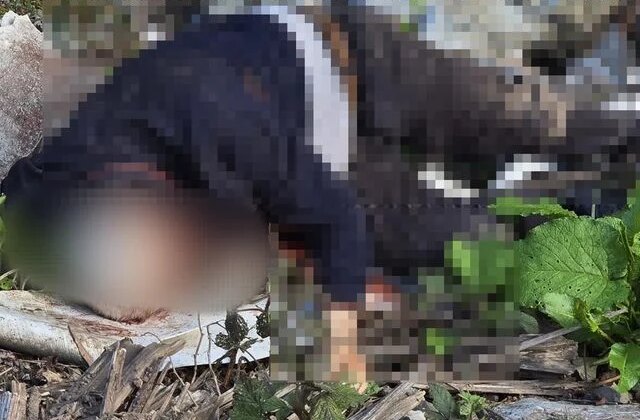 Dere kenarında bıçaklanarak öldürülmüş erkek cesedi bulundu