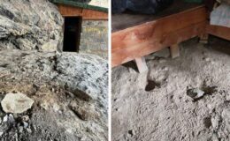 Düzgün Baba Ziyaretgahı’ndaki tahribata ilişkin 3 kişi tutuklandı