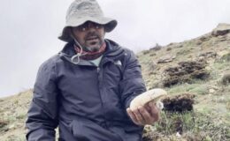 2 bin rakımda yetişen çaşır mantarı altınla yarışıyor