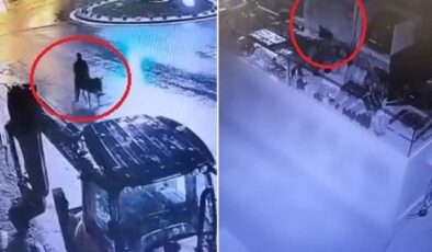 Eşekle kaçan hırsıza verilen cezanın gerekçesi açıklandı