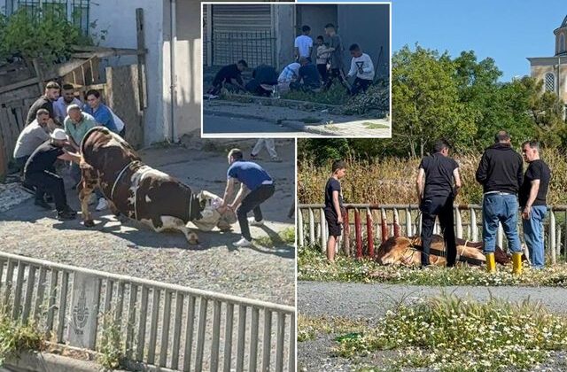 Esenyurt’ta kaçak kurban kesenlere ceza