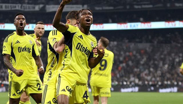 Fenerbahçe’de Nene için yolun sonu