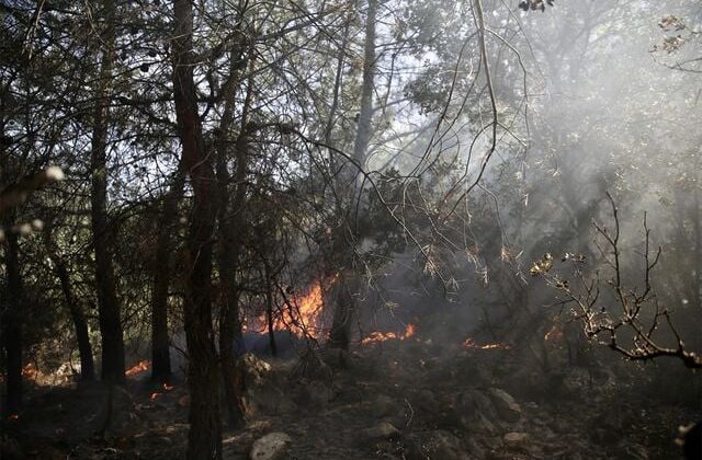 Fethiye’de çıkan orman yangını korkuttu