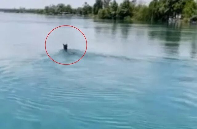 Fırat Nehri’nin ortasında görenler gözlerine inanamadı