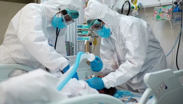 Hantavirüs paniği Avrupa’ya sıçradı! Kabin memuru karantinada