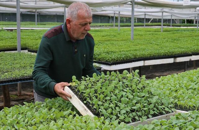 İki emekli hobi diye başladı, şimdi para basıyorlar