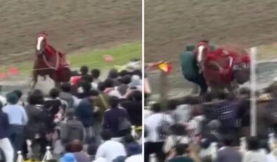 Japonya’da festivalde at kalabalığın arasına daldı: 6 yaralı