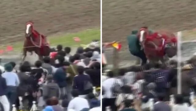 Japonya’da festivalde at kalabalığın arasına daldı: 6 yaralı