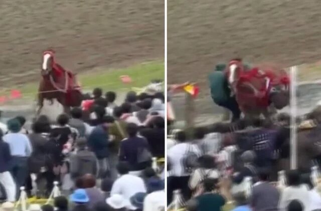 Japonya’da festivalde at kalabalığın arasına daldı: 6 yaralı