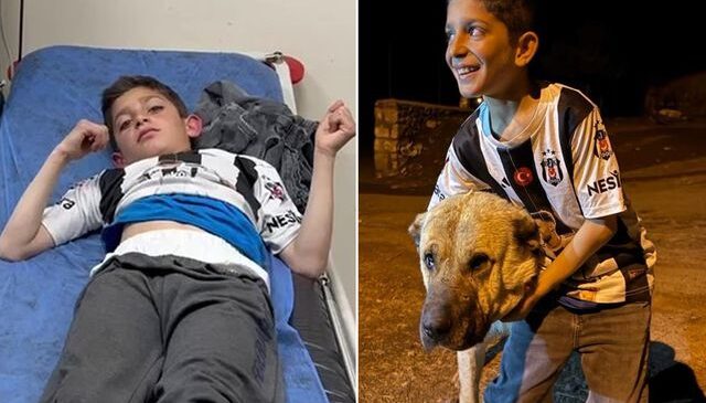 Köyün kahramanı! Kral, bu kez 10 yaşındaki Sencar’ı kurtardı