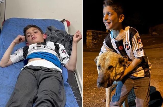 Köyün kahramanı! Kral, bu kez 10 yaşındaki Sencar’ı kurtardı