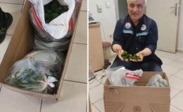 Kapıkule’de şaşkına çeviren operasyon: Yolcu otobüsünde 2 bin adet canlı yeşil alg ele geçirildi