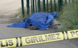 Yangından kurtulmuştu, sokakta böyle bulundu