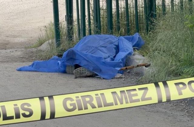 Yangından kurtulmuştu, sokakta böyle bulundu