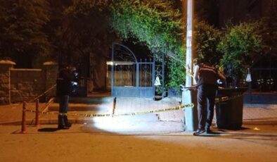 Darbedilen kadını kurtarmak isteyen 2 kardeş bıçaklandı