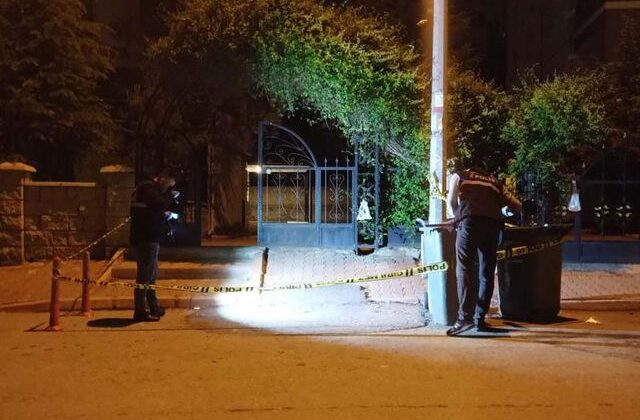 Darbedilen kadını kurtarmak isteyen 2 kardeş bıçaklandı